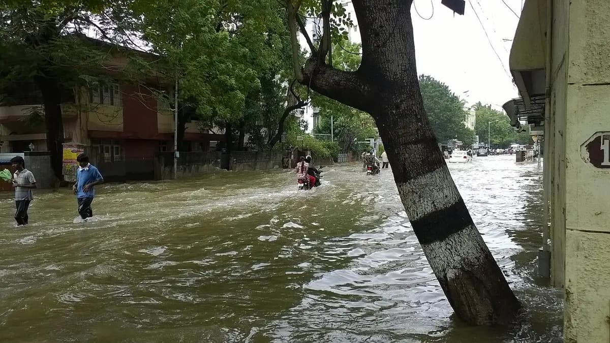 Waterlogging photo reported 8 Oct 2026
